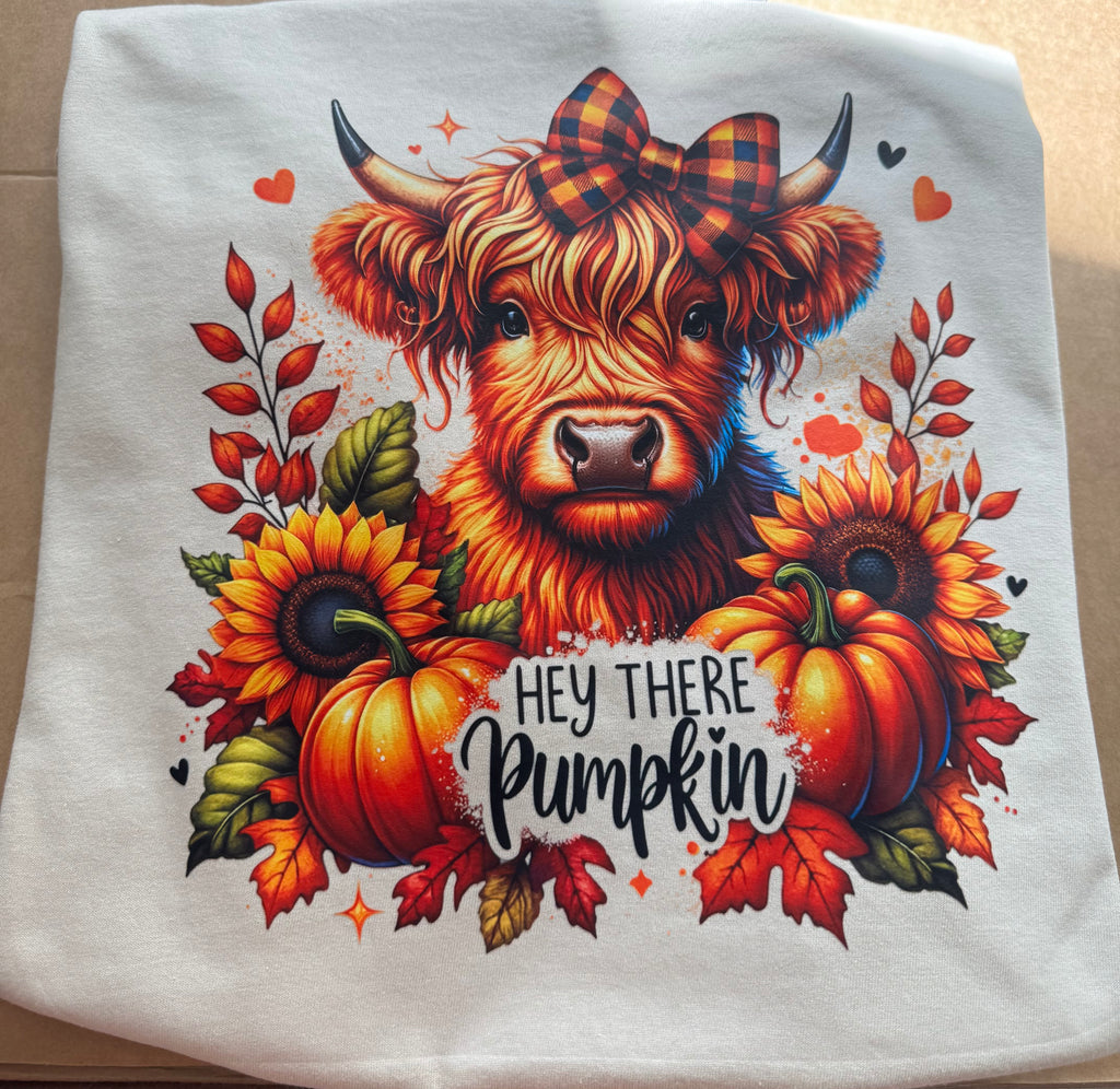 Hey There Pumpkin Shirt
