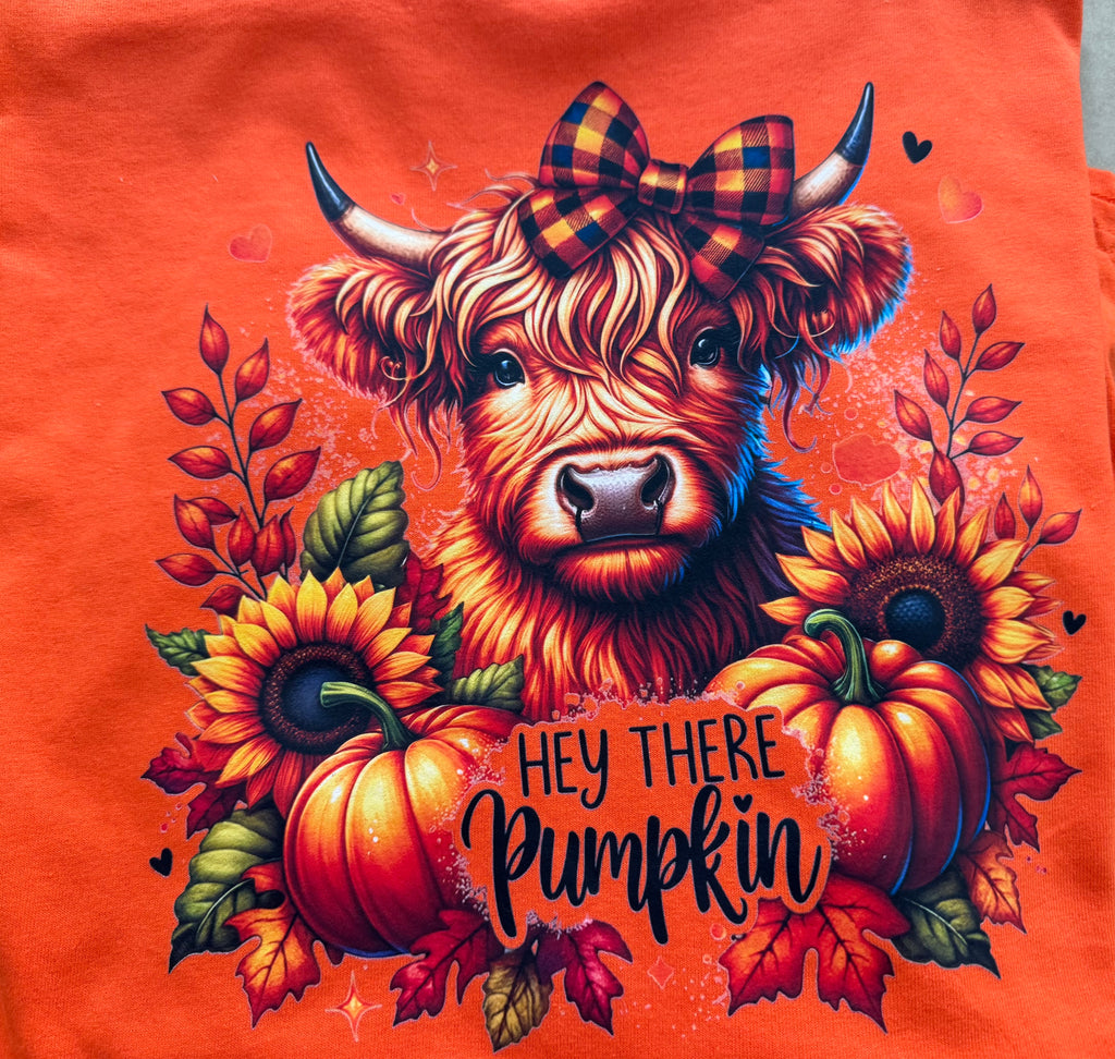 Hey There Pumpkin Shirt